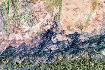 N 148C